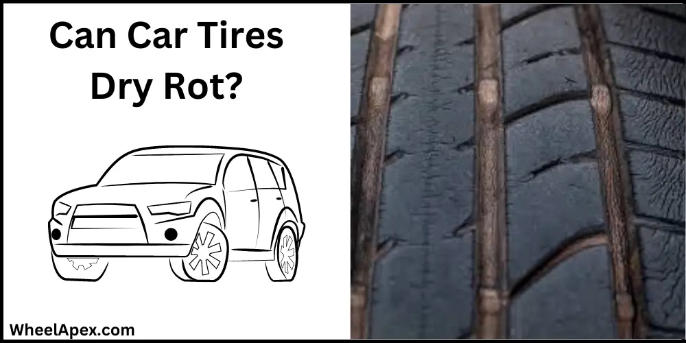 Can Car Tires Dry Rot?