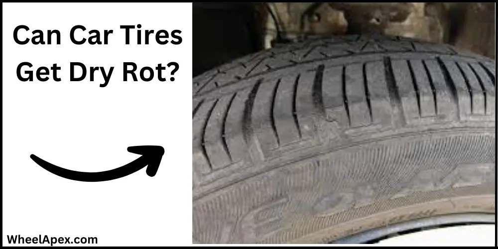Can Car Tires Get Dry Rot?