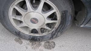 How To Prevent Dogs From Peeing On Car Tires?